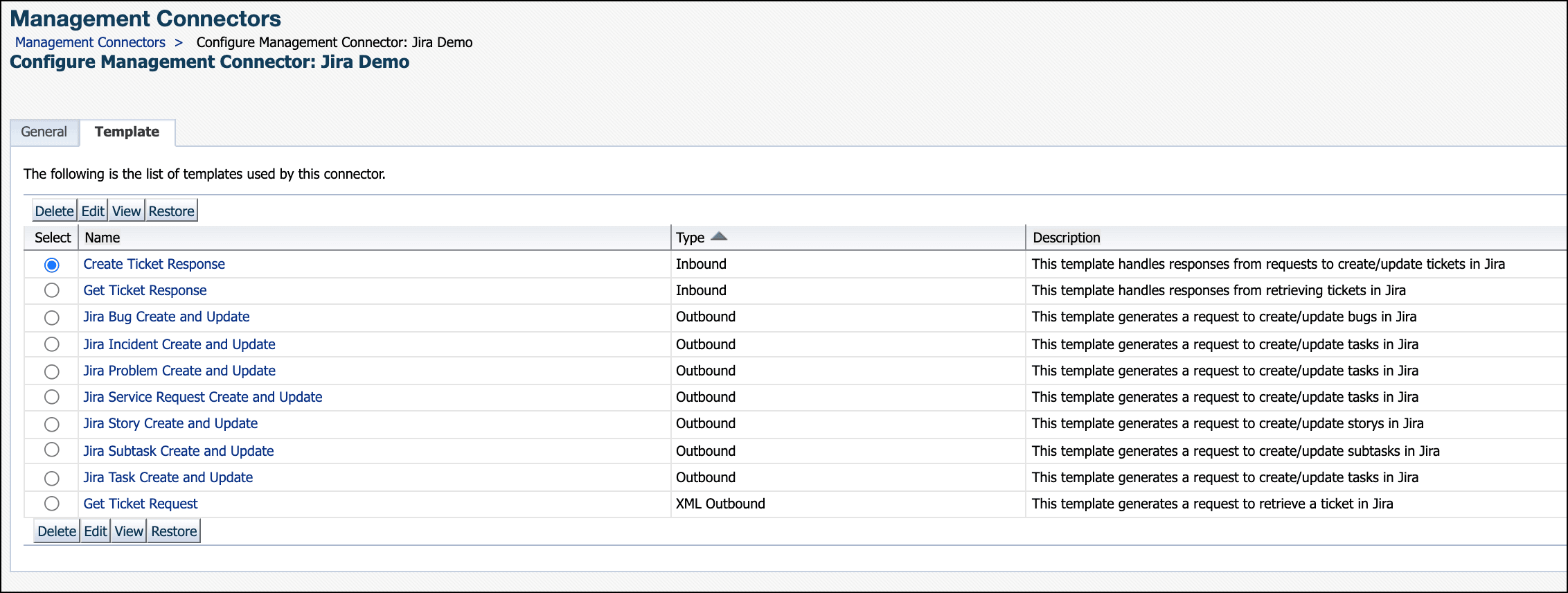 Image displays the template page.