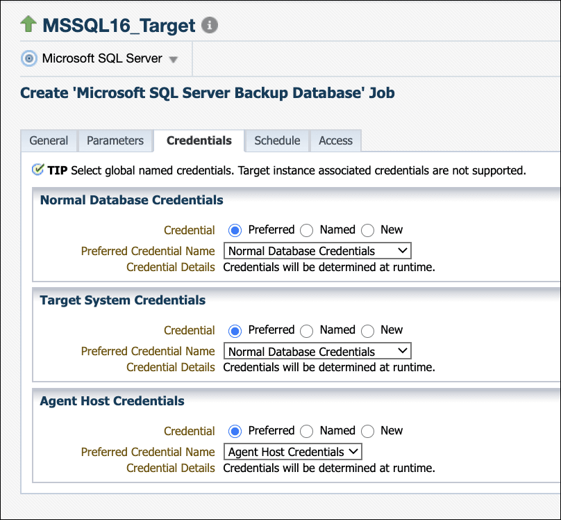 資格証明の入力