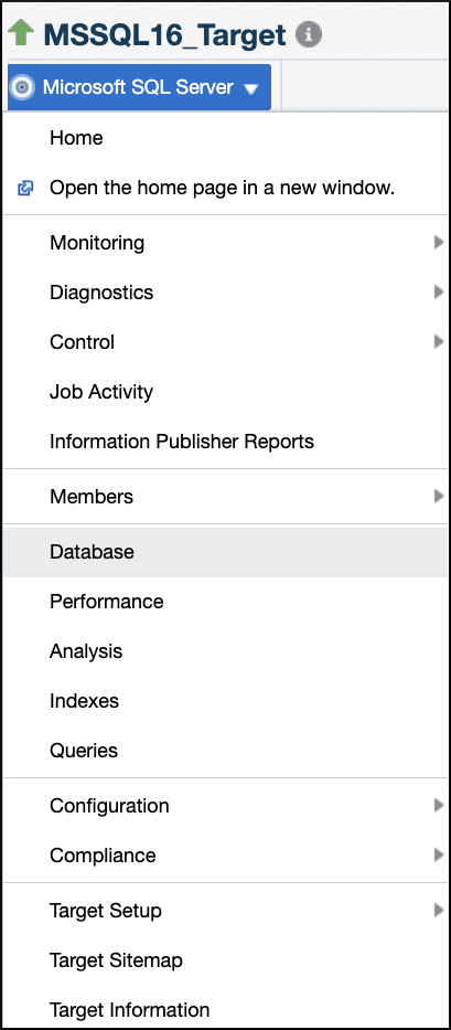 「Microsoft SQL Serverデータベース」メニュー
