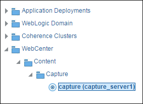 domain-capture.pngの説明が続きます