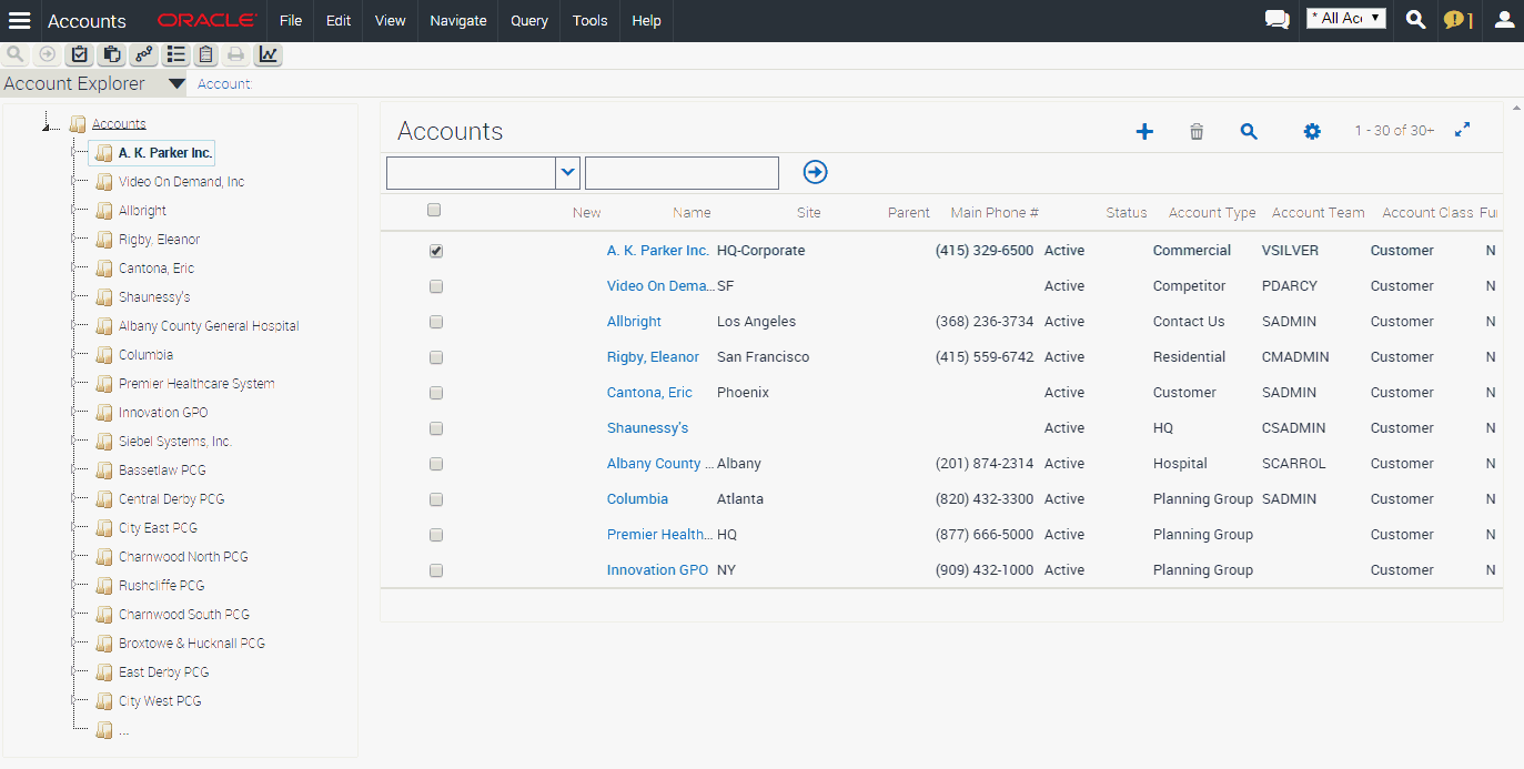 Example of an Explorer View for Accounts: This image shows the Account Explorer tree control (expanded on Accounts) in the side pane and the Accounts list information in the main content area.