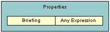 In this image, Properties has Briefing and Any Expression.