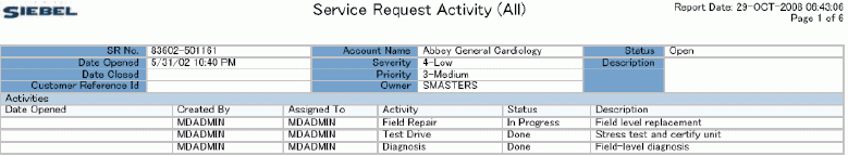 Example of a Master-Detail Service Request Activity (All) Report. This image is described in surrounding text.