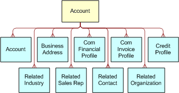 Siebel Account ASI. This image is described in the surrounding text.