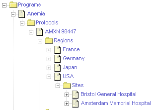 Hierarchical Relationships in Siebel Clinical: This image is described in the surrounding text.