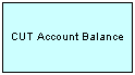 CUT Account Balance Interface - Response ASI Integration Object. This image is described in surrounding text.