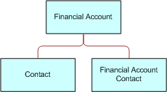 Siebel Financial Account ASI. This image is described in the surrounding text.
