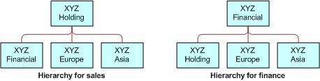 Examples of Account Hierarchies: This image is described in the surrounding text.