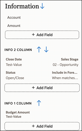 情報セクションの2つのフィールドがフィールド・ラベルなしで表示される商談の要約ビュー・レイアウトの例。 「情報2」列および「情報2」列セクションのフィールドは、フィールド・ラベルとともに表示されます。 