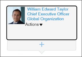 「表示」アイコンが表示されたリソース・ボックス。