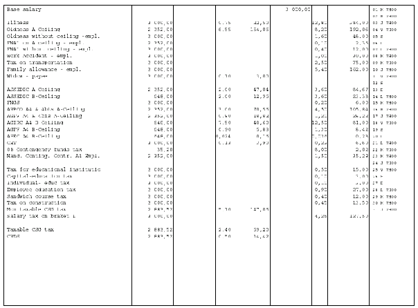 Sample body of a payslip