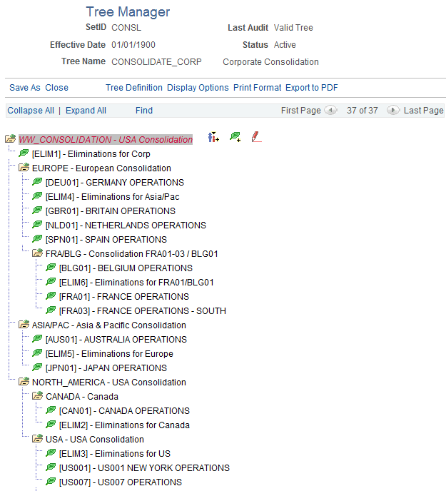 Consolidation tree for World Wide Consolidation