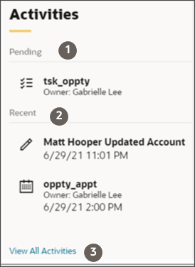 テキストで説明されている機能を強調表示した「アクティビティ」パネル