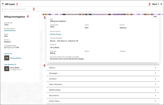 次の表で説明するコールアウトがあるケース詳細ページ。