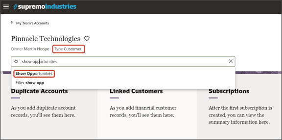 このスクリーンショットは、アカウントが顧客である場合に、フィールド条件によって「商談」パネルが非表示にされる様子を示しています。ただし、ここでは「商談」サブビューを開くスマート処理を処理バーから使用できます。
