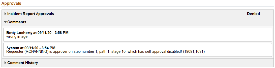 Report Incident - Review and Submit page (3 of 3)