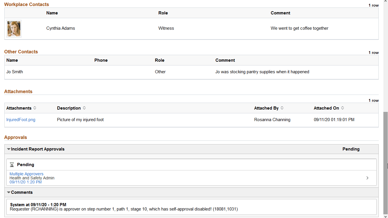View Incident page (2 of 2)