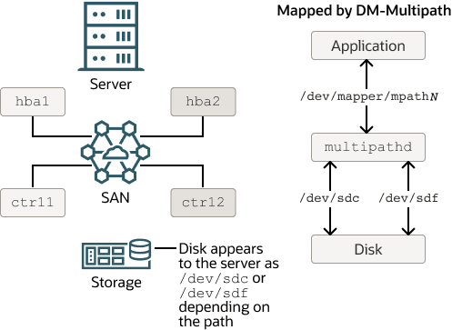この図は、サーバーとSAN接続ストレージ・アレイ上のディスクの間に2つのI/Oパスが構成されているDM-Multipath構成を示しています。 DM-Multipathは、基礎となるデバイス/dev/sdcおよび/dev/sdfが組み込まれた単一のマルチパス・デバイス/dev/mapper/mpathNを作成します。 