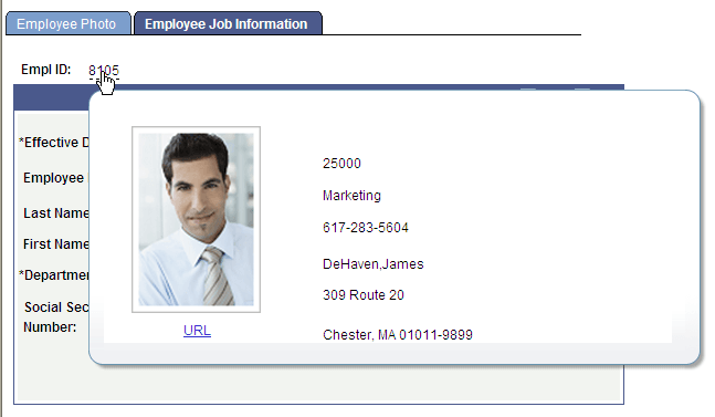User Details pop-up page