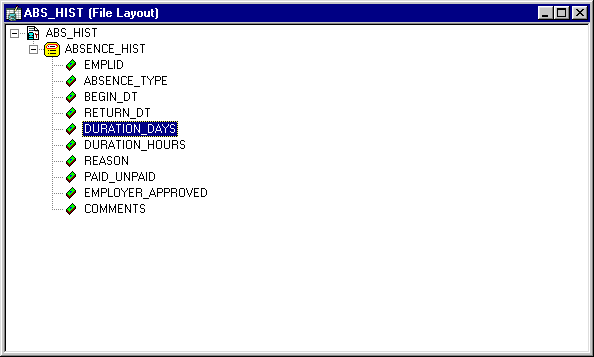 Example File Layout definition (ABS_HIST)