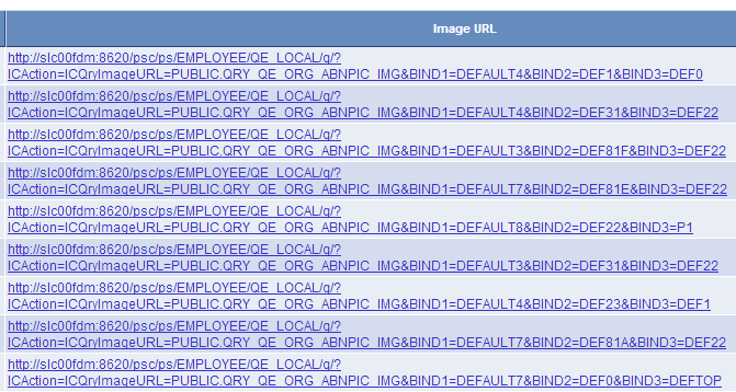 Example of the Run page with query results as image links