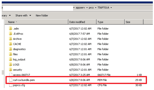 Certificate bundle in PEM format