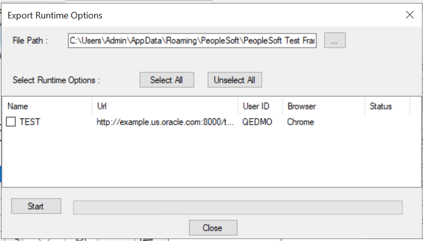 Export Runtime Options dialog box