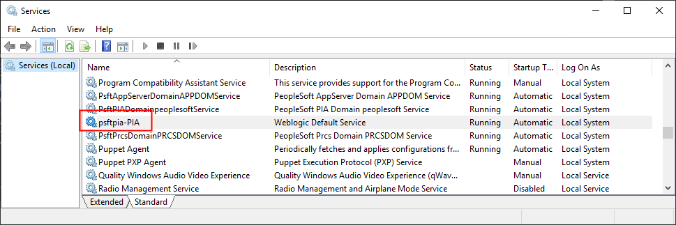 Windows Services dialog box showing installed service for PIA domain.