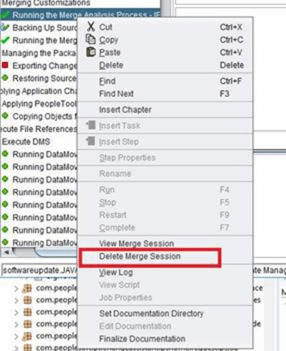 Delete Merge Session