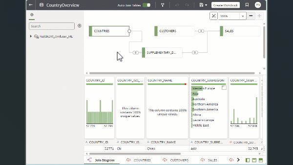 navigating-data-set-editor-transform-editor-definition-editor.gifの説明が続きます