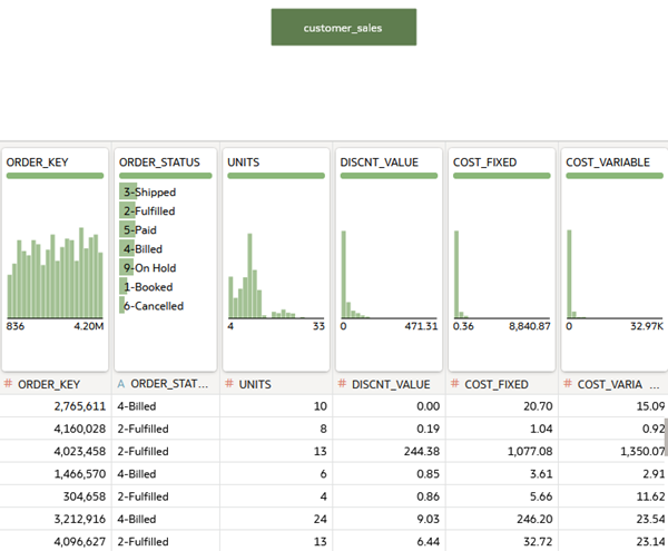 Description of customer_sales_data_set.png follows