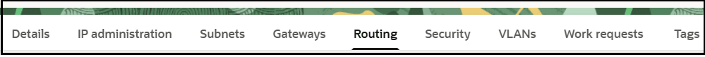 メニュー・バーには、詳細、IP管理、サブネット、ゲートウェイ、ルーティング、セキュリティ、VLAN、作業リクエストおよびタグのタブが表示されます。