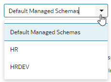 byos-settings-select-schema.pngの説明は以下のとおりです