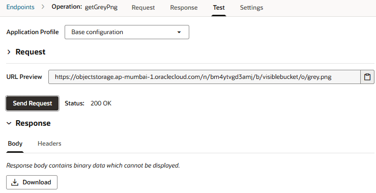 バイナリ・レスポンスを保存するためのダウンロード・ボタンがあるエンドポイントのテスト・タブを示すスクリーンショット。 バイナリ・レスポンスを保存するためのダウンロード・ボタンがあるエンドポイントのテスト・タブを示すスクリーンショット。