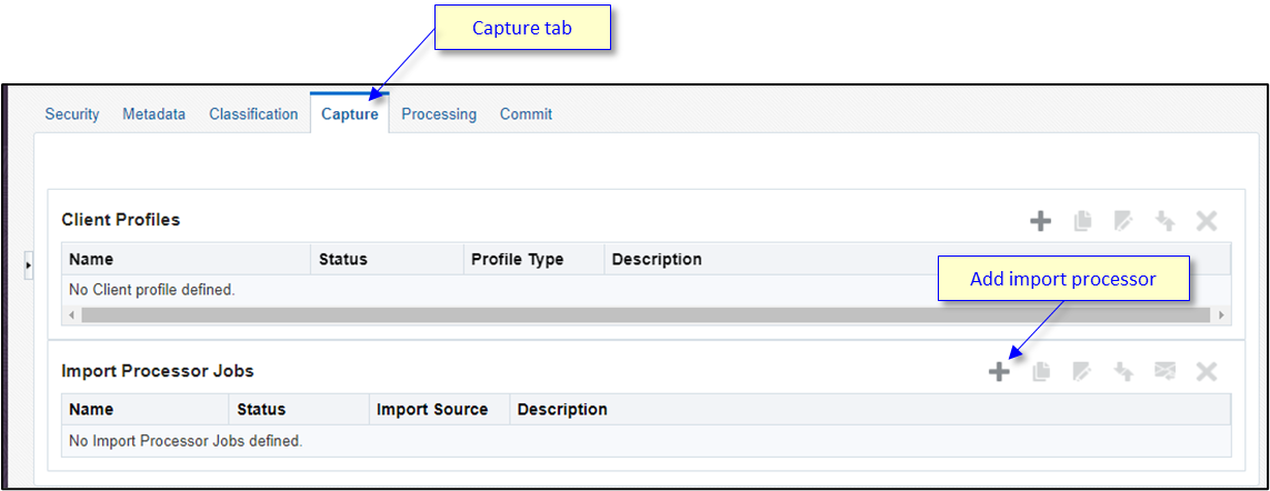 Capture page with the Import Processor Jobs section. Capture page with the Import Processor Jobs section.