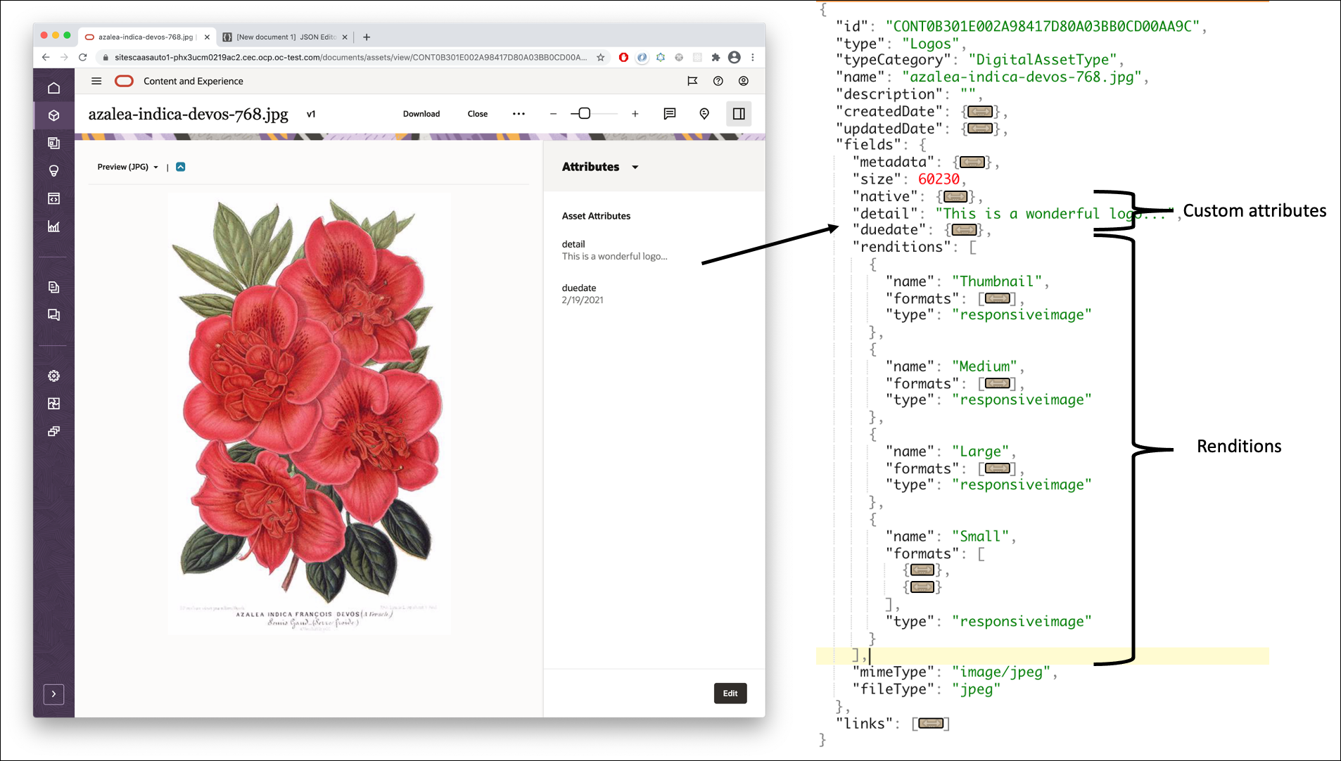 api_info_for_assets.pngの説明は以下のとおりです