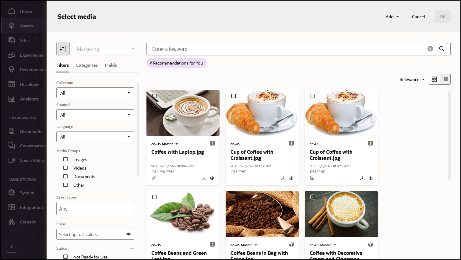メディアの推奨事項(リンク・トピックを参照)