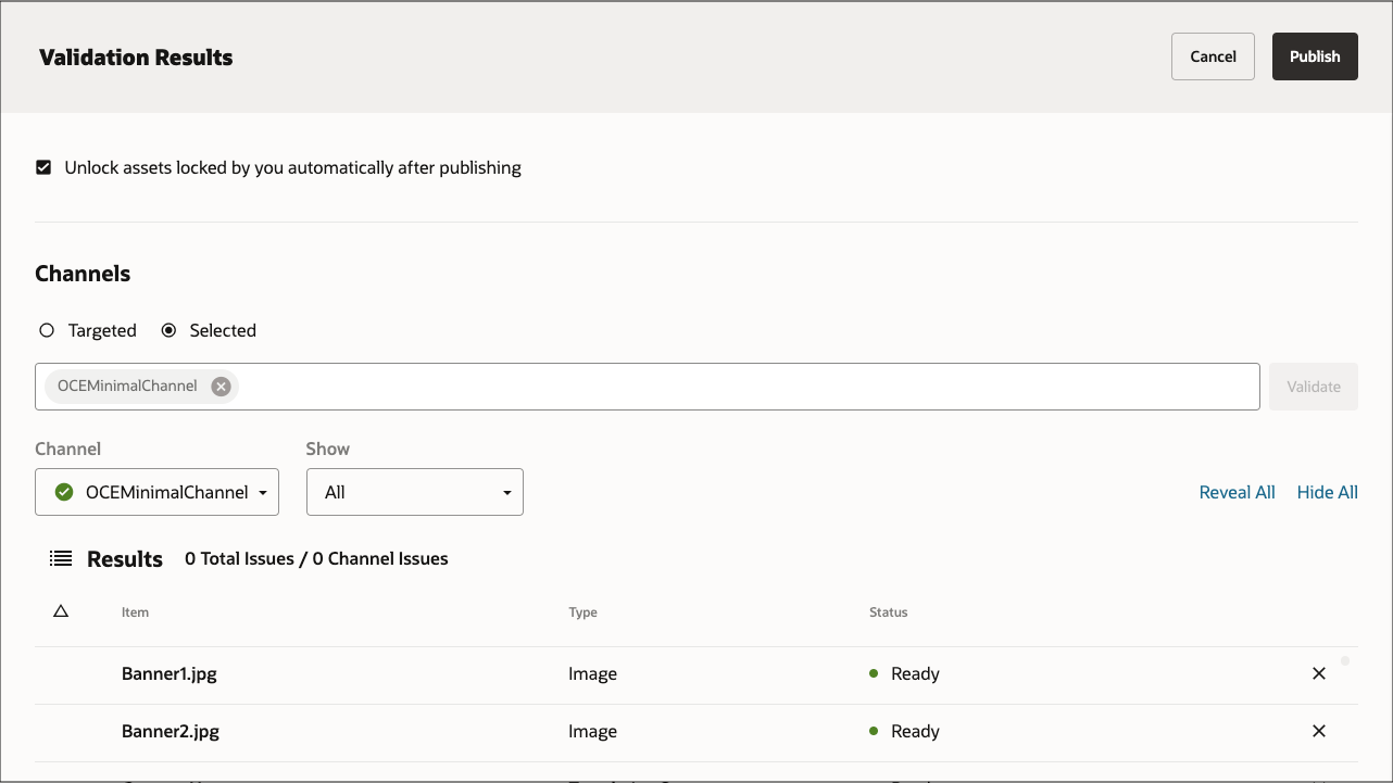 This image shows the Validation Results page, with the OCEMinimalChannel channel added in the Channels field, all assets validated, and the Publish button enabled.