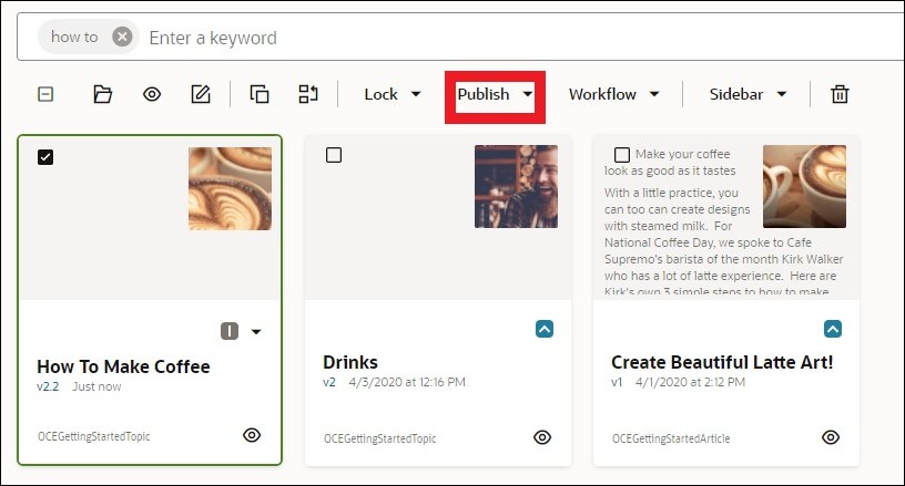 This image shows the publish tab.