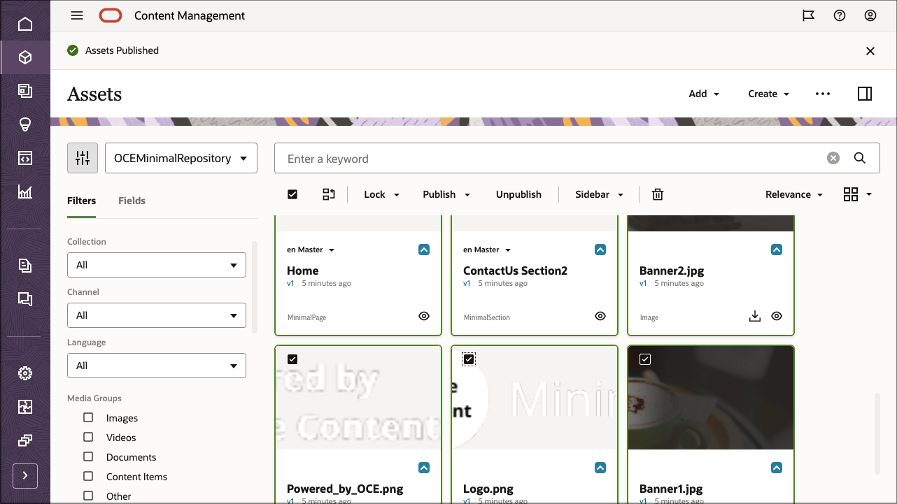 This image shows the Assets page, with all assets pubished.