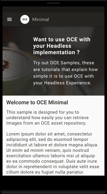 This image shows a landing page for a Flutter minimal site.