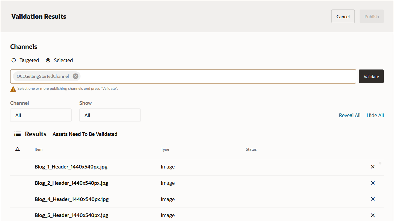 This image shows the Validation Results page, with the OCEGettingStartedChannel channel added in the Channels field, all assets to be validated, and the Validate button enabled.