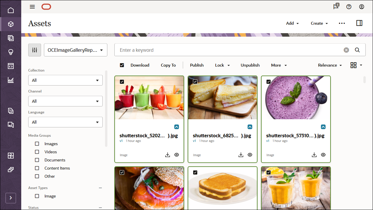 This image shows the Assets page, with all assets pubished.