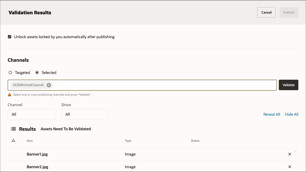 This image shows the Validation Results page, with the OCEMinimalChannel channel added in the Channels field, all assets to be validated, and the Validate button enabled.