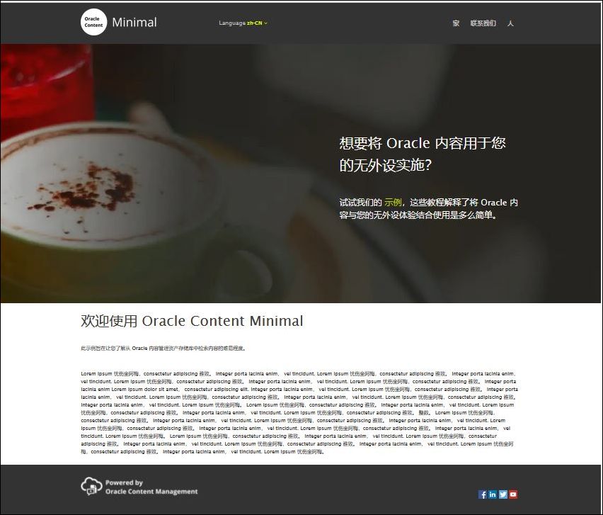 The Chinese home page
