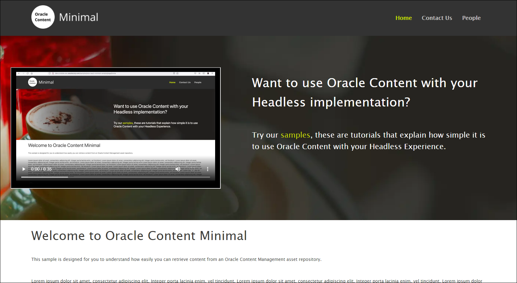 This image shows a landing page for a React minimal site with video.