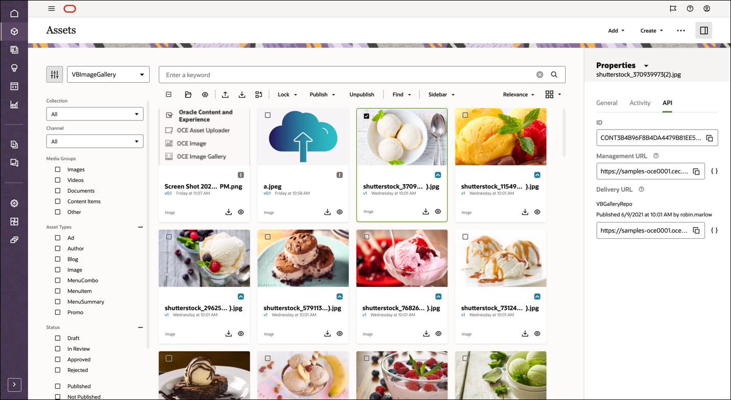 This image shows the properties panel of a selected asset, with the API tab open.