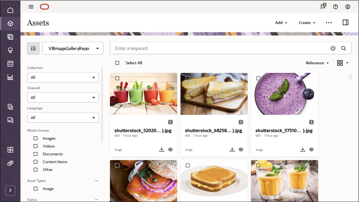 This image shows the VBImageGalleryRepository repository, with all assets that were just imported.