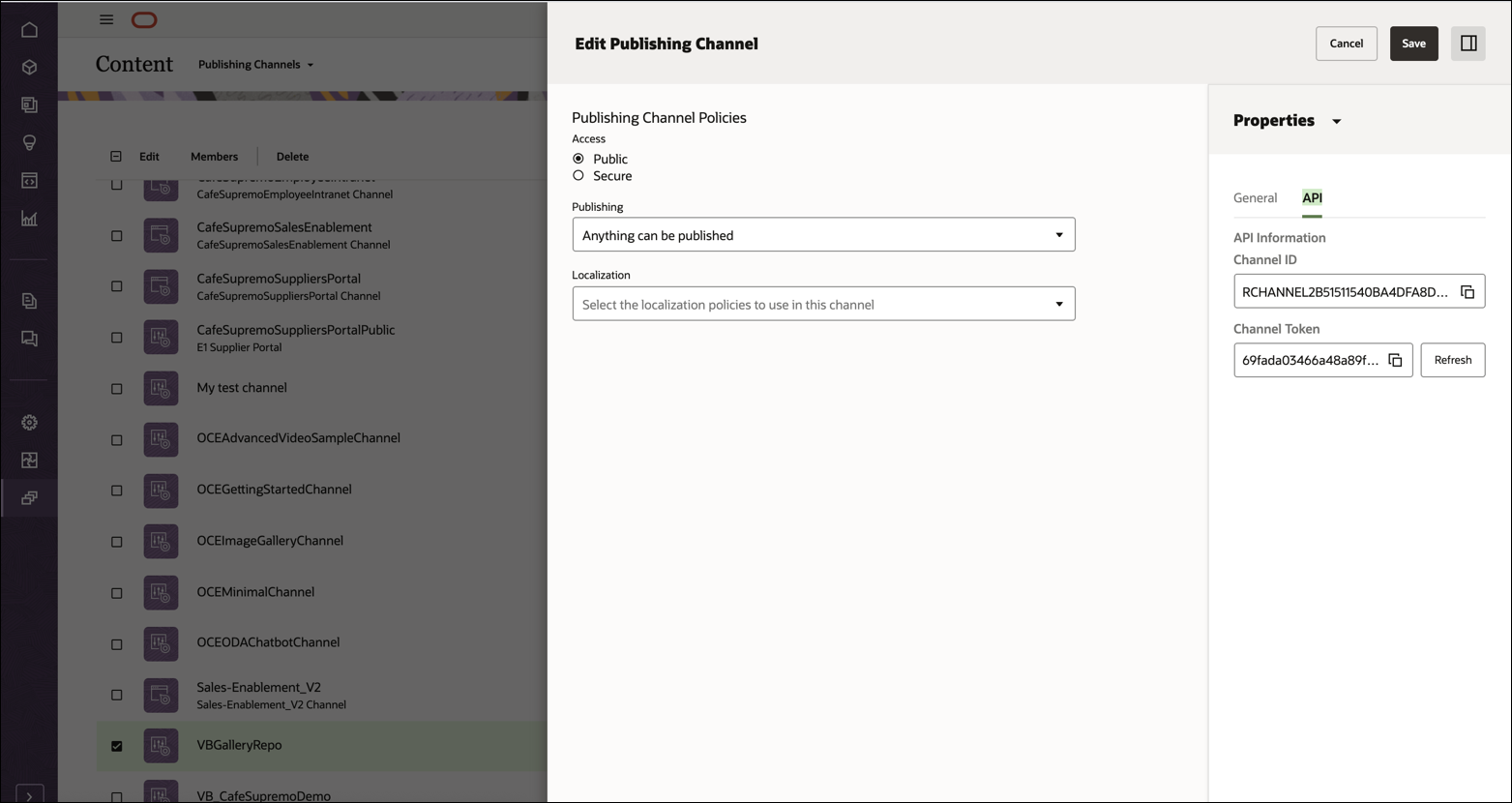 This image shows the publishing channel properties panel, with the API tab open.
