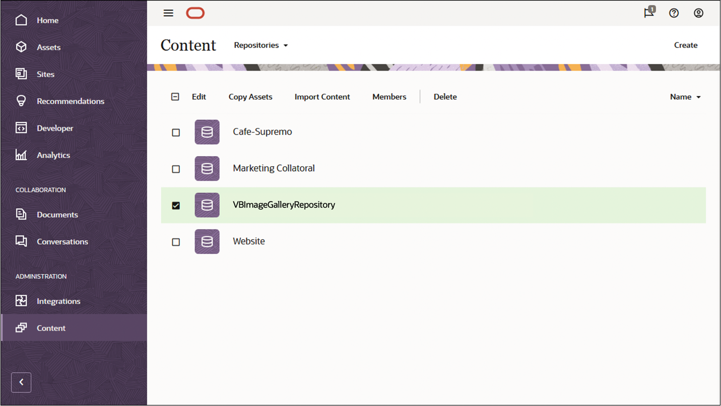 This image shows the Repositories page, with the VBImageGalleryRepository item selected.